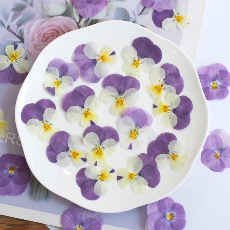 12pcs,nature Pansy Dried Flowe - Beauty Makeup Bridal avaliação e preço